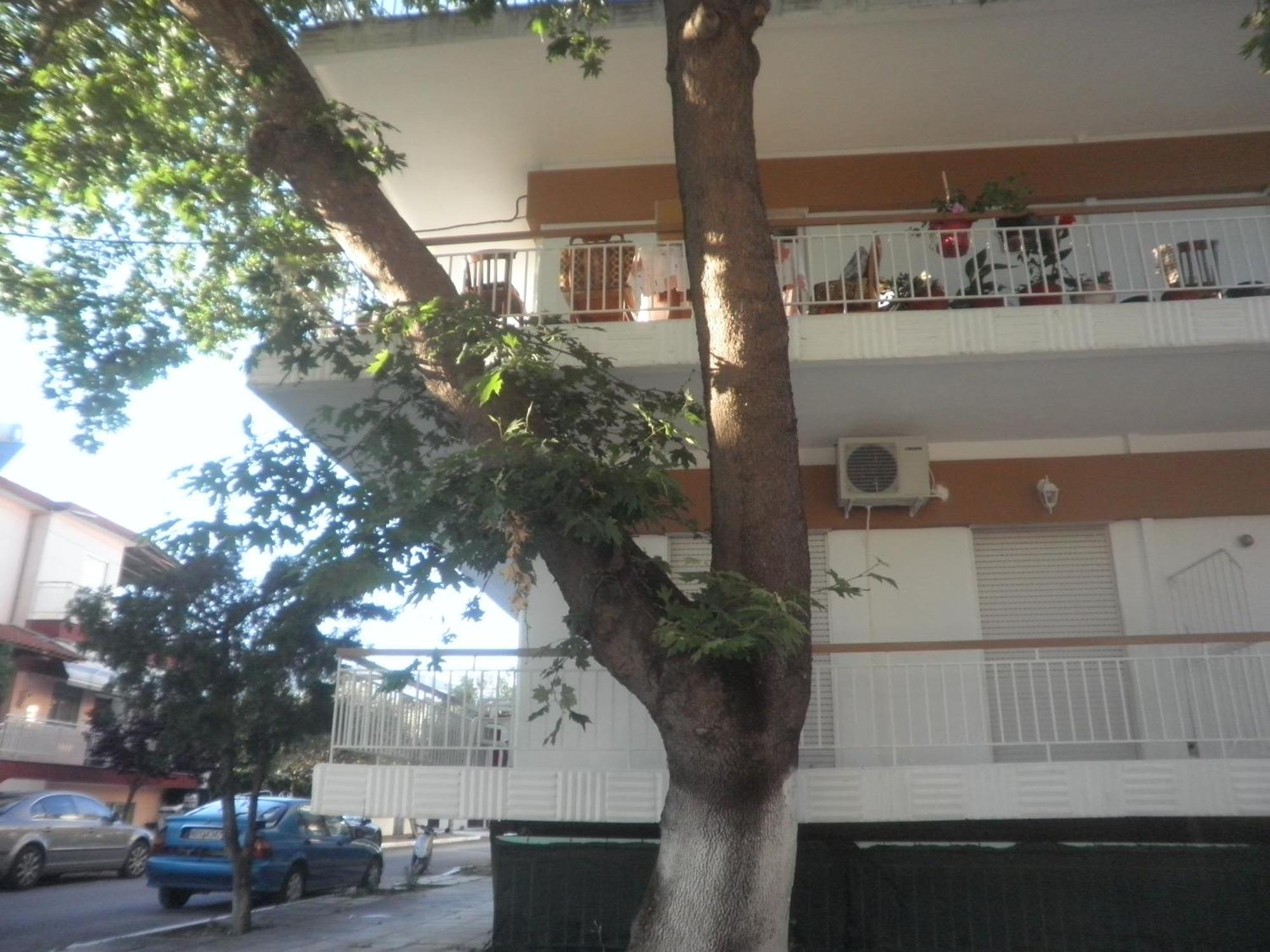 Apartments Anesis Pantazis Aszproválta Kültér fotó